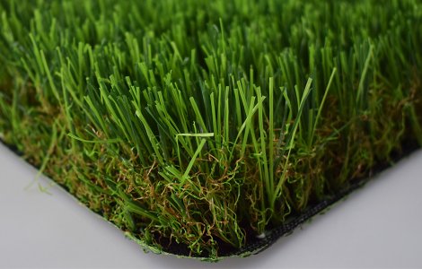 50 160 16800 LANDSCAPING GRASS