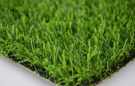 20 150 15750 LANDSCAPING GRASS