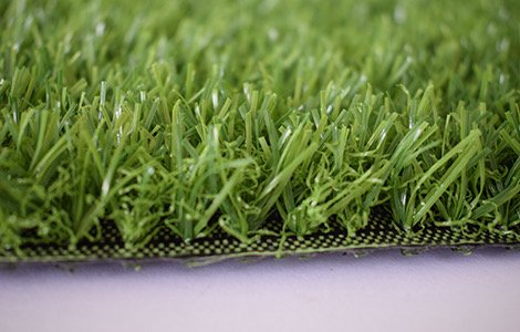 20 150 15750 LANDSCAPING GRASS