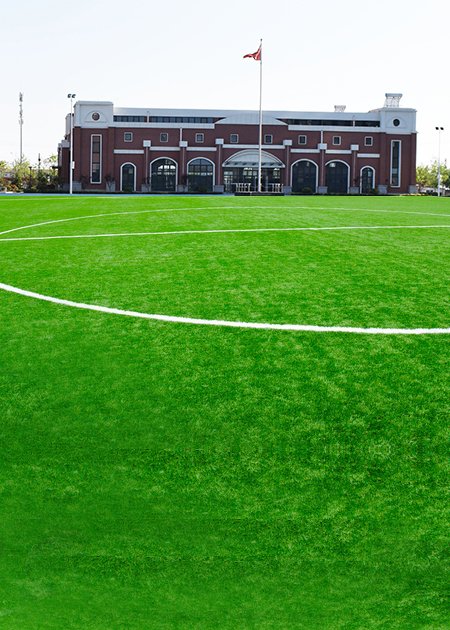Sports Grass