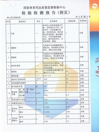 Test Report