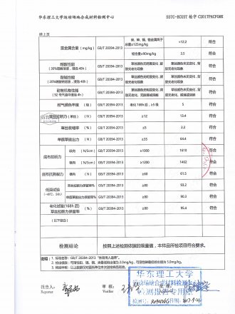 Test Report 