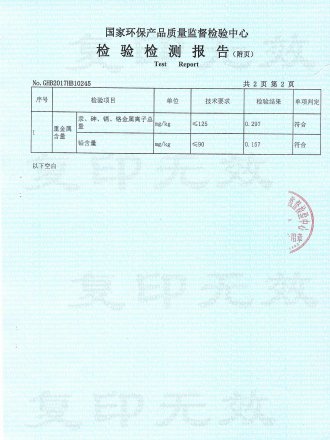 Test Report