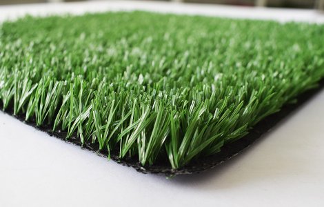 changzhou grass CZG004
