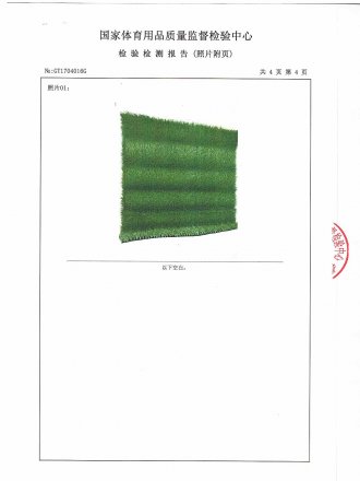 Test Report