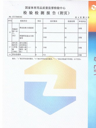 Test Report