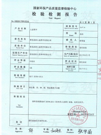 Test Report