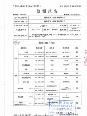 Test Report