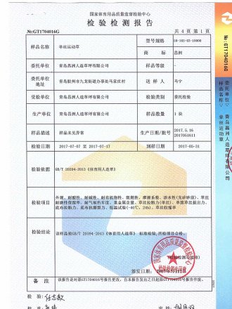 Test Report