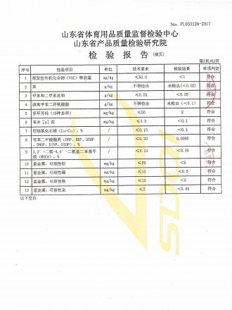 Test Report
