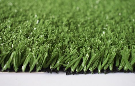 changzhou grass CZG002
