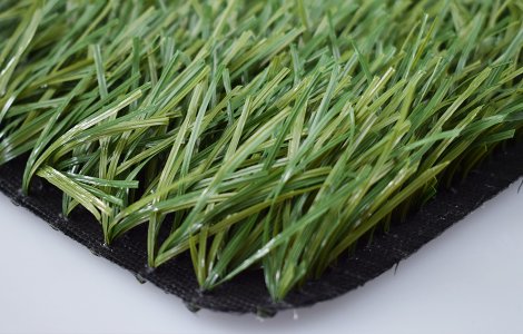 50 160 10200 STEM BICOLOR FOOTBALL GRASS