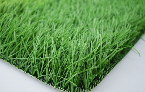 50 100 10500 FOOTBALL GRASS